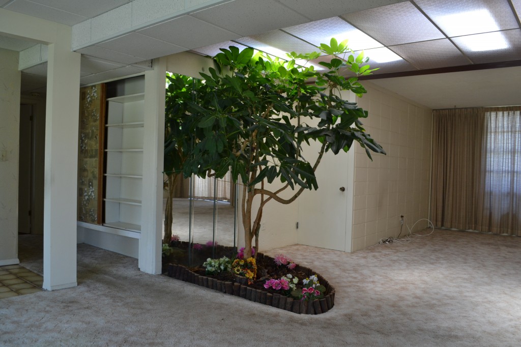 INdoor Tree